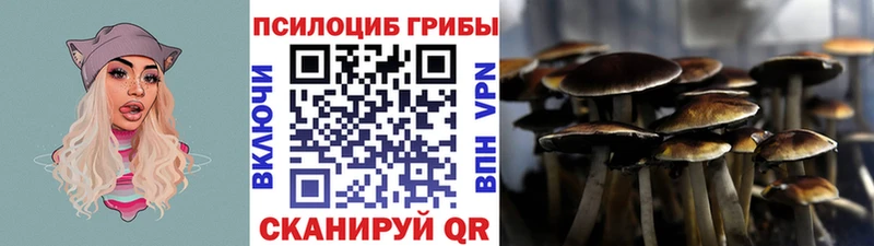 Галлюциногенные грибы GOLDEN TEACHER  Иланский 
